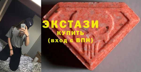 spice Богородицк