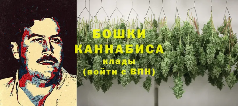 Бошки марихуана LSD WEED  Лосино-Петровский 